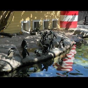 Meet your Posher, Marc